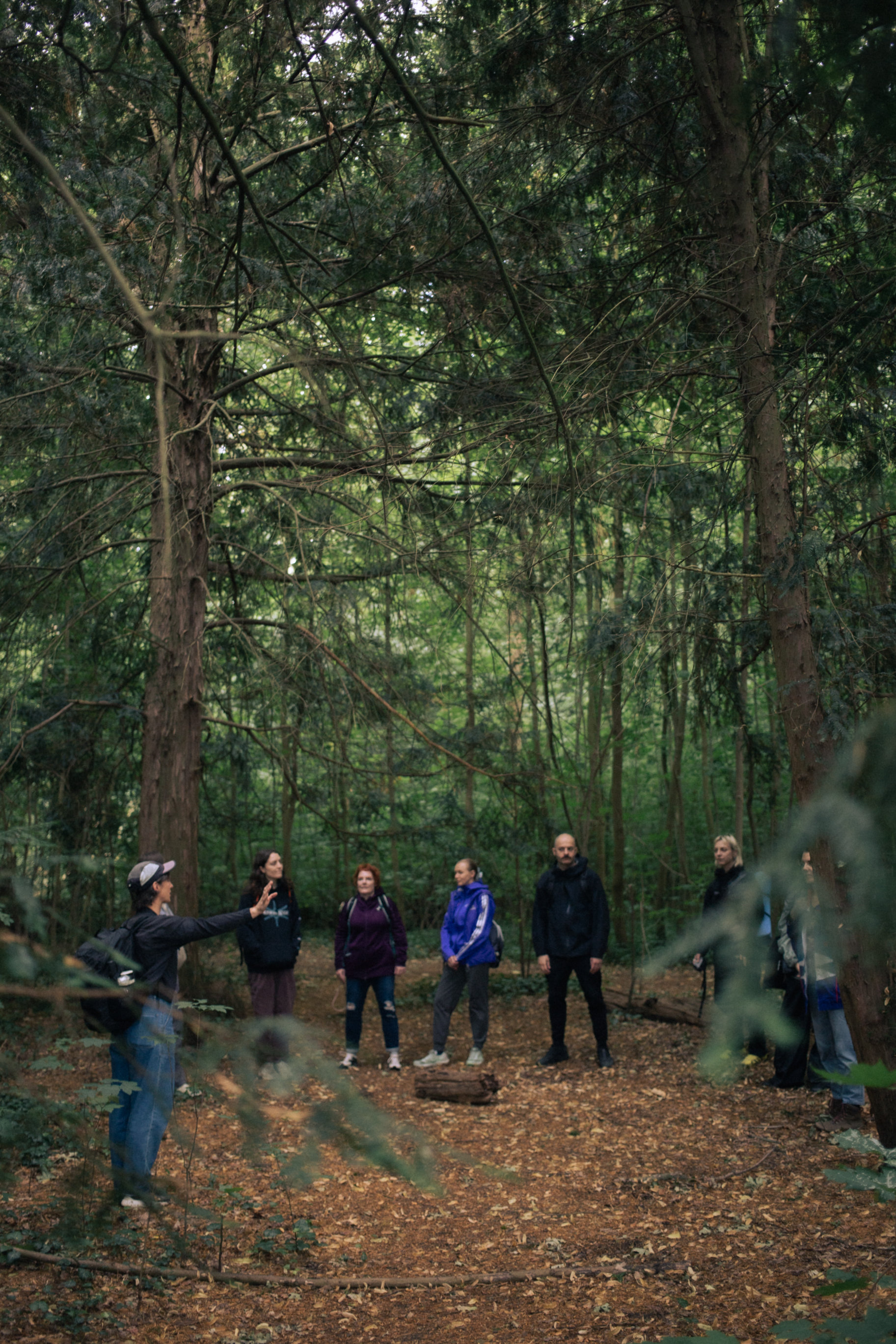 A small group of people stand in a circle surrounded by yew trees.